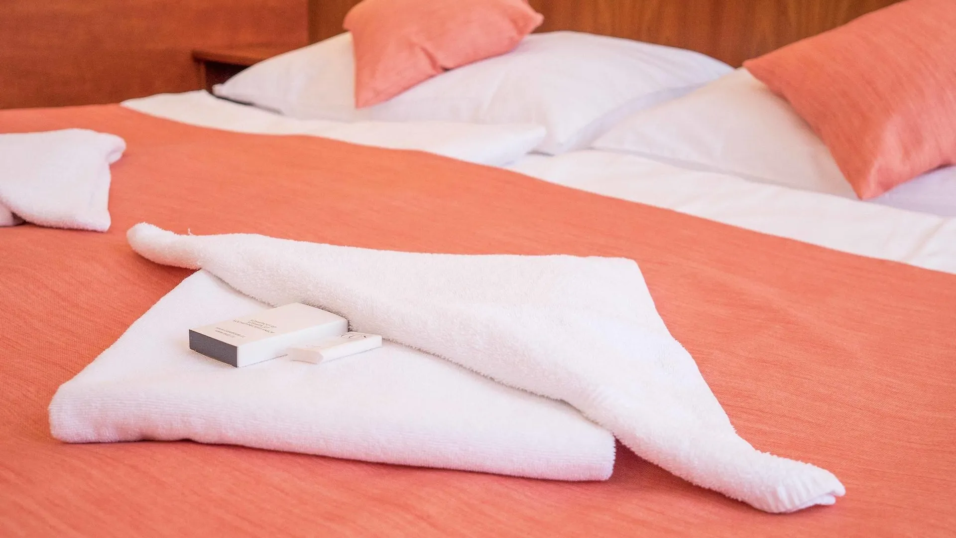 Hotel Alton Praga 3*,